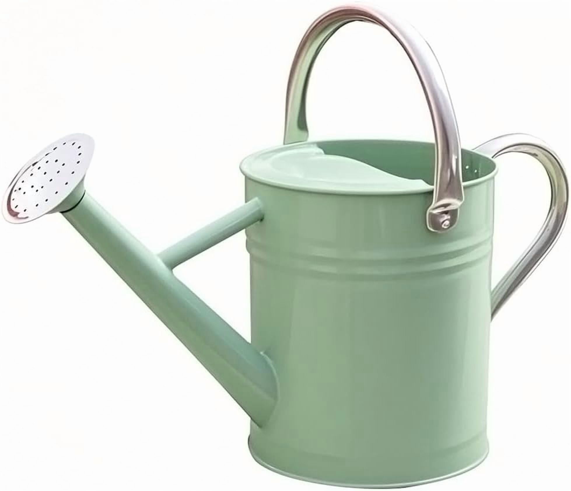 Galvanized Metal Watering Can, One Gallon Watering Cans for Outdoor Indoor Garden Plants Watering with Luminous Panit