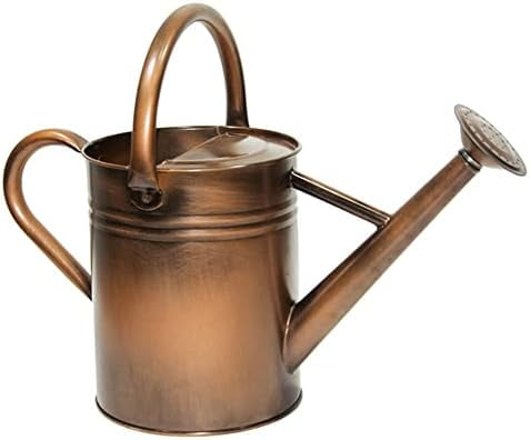 Galvanized Metal Watering Can, One Gallon Watering Cans for Outdoor Indoor Garden Plants Watering with Luminous Panit