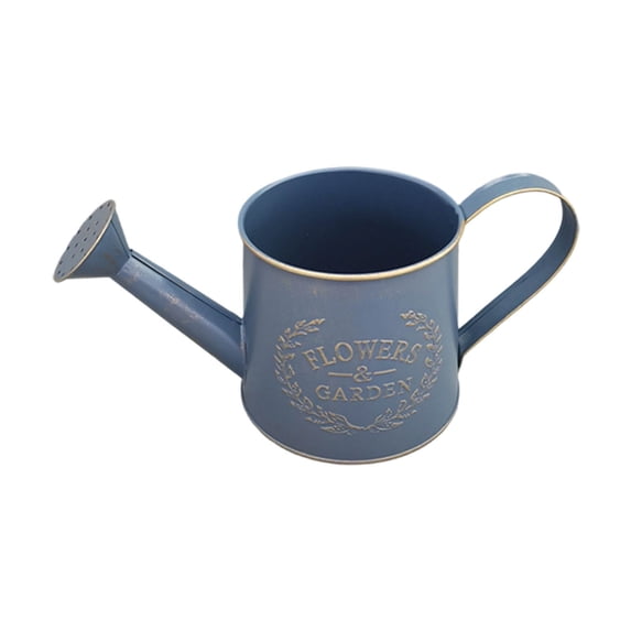 Galvanized Metal Watering Can for Indoor Outdoor Plants, Small Garden Watering Pot with Long Spout for Succulents Flowers Bonsai(Blue,One Size)