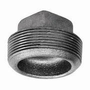Galvanized Pipe Plug