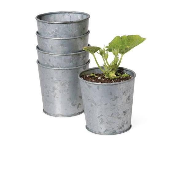 Galvanized Planting Cups Set of 5
