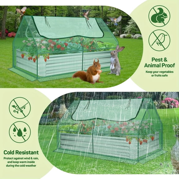 Galvanized Raised Garden Bed with Cover, 6x3x3ft, Outdoor Metal Planter Box 2 Roll-Up Windows Mini Greenhouse for Growing Flowers Fruits Vegetables and Herbs - Clear