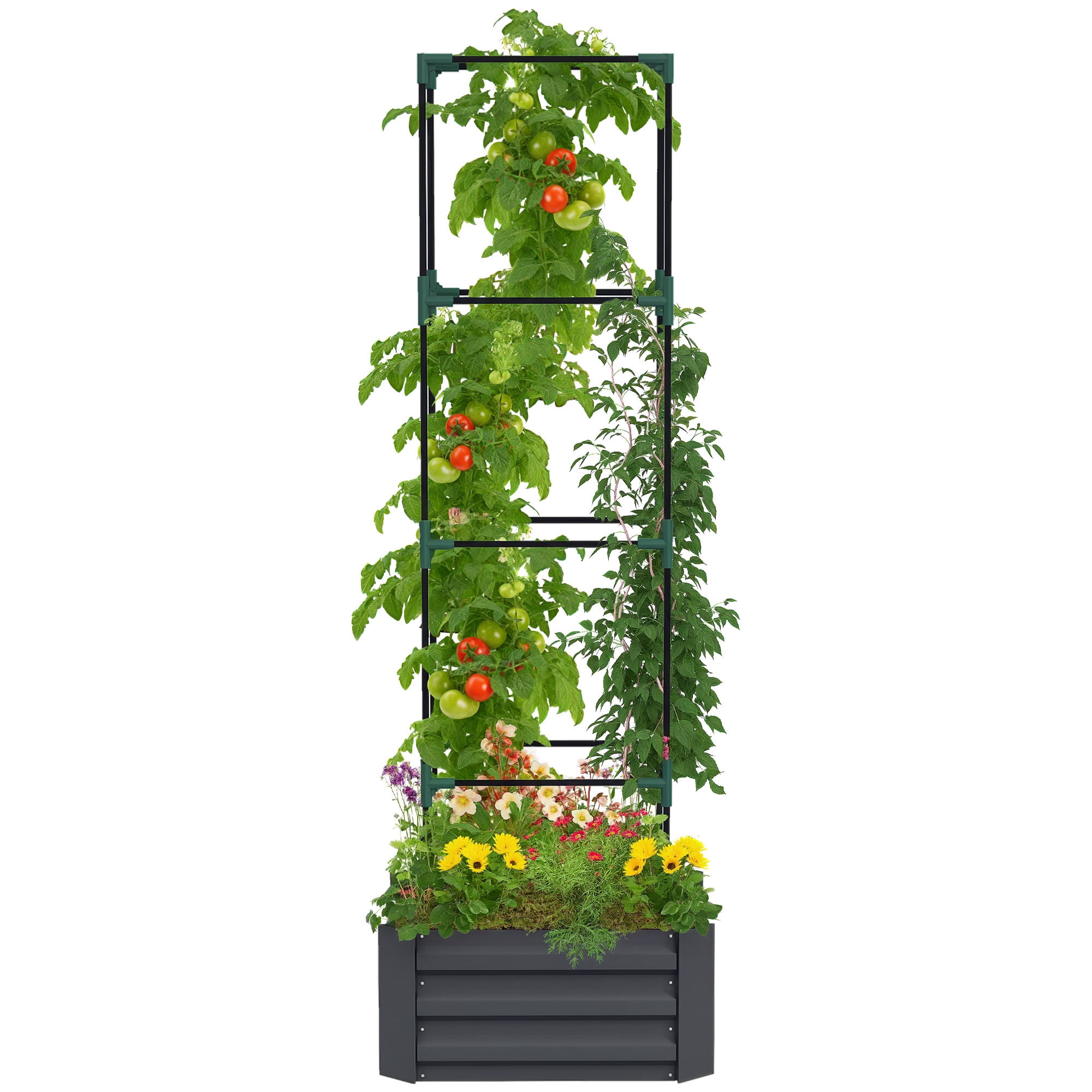 Galvanized Raised Garden Bed, Outdoor Planter Box with Trellis Tomato Cage and Open Bottom for Climbing Vines, Vegetables, Flowers in Backyard, Garden, Patio, Gray 24" x 24" x 11.75"