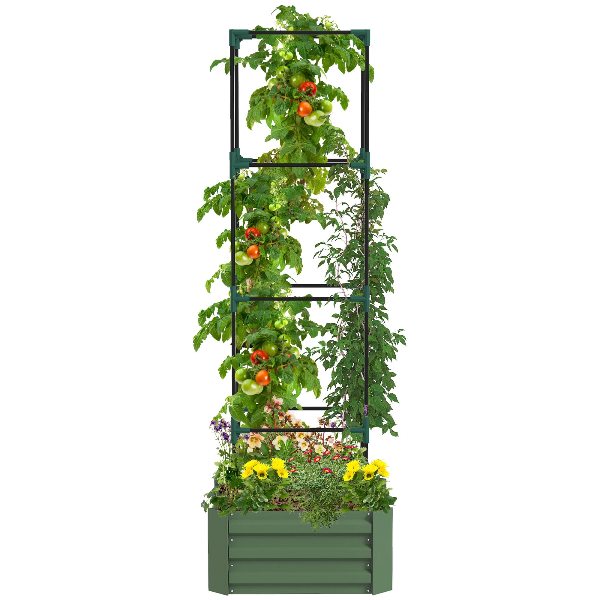 Galvanized Raised Garden Bed, Outdoor Planter Box with Trellis Tomato Cage and Open Bottom for Climbing Vines, Vegetables, Flowers in Backyard, Garden, Patio, Green 24" x 24" x 11.75"