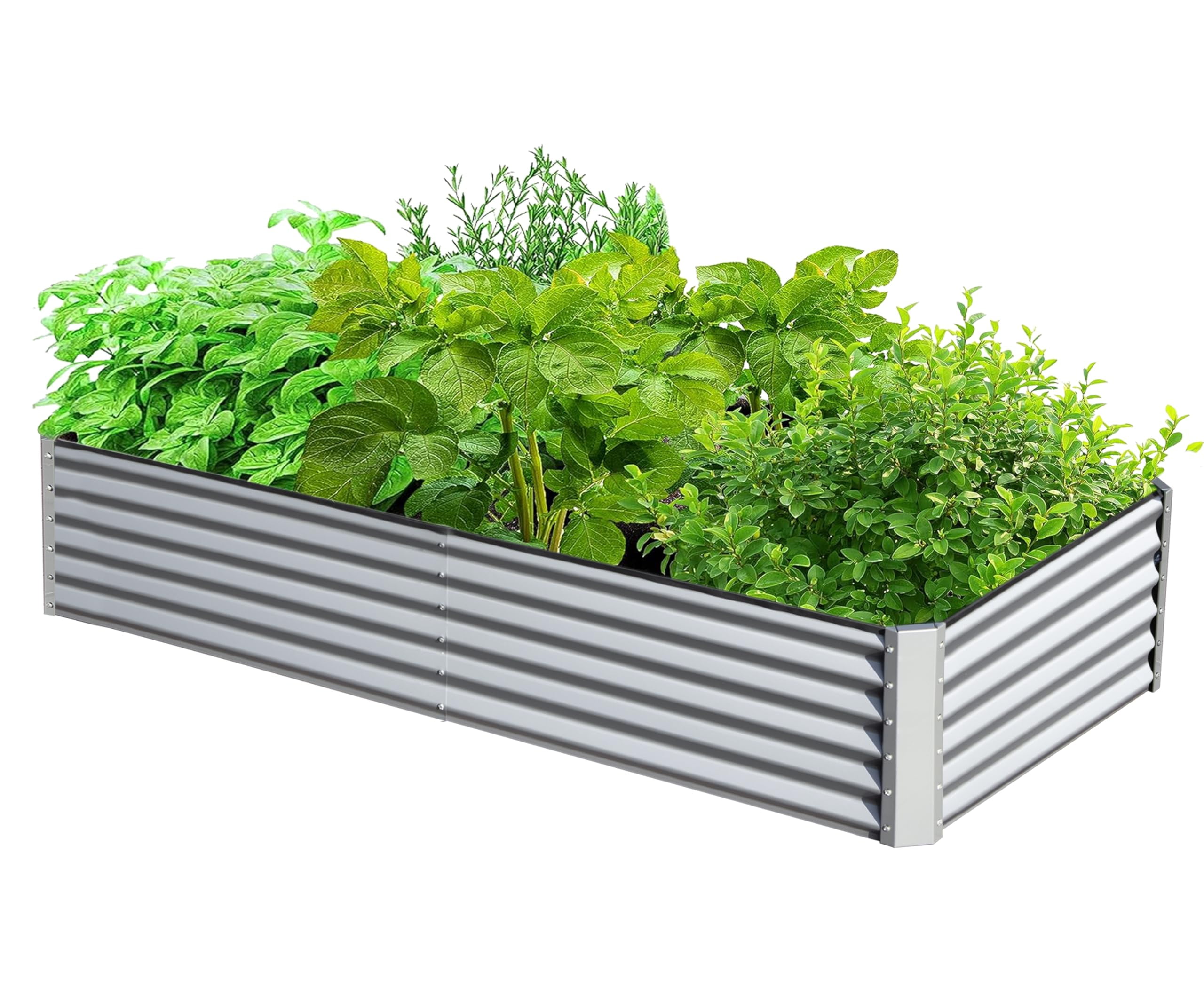 AsterOutdoor Galvanized Raised Garden Bed Metal Planter Box 6x3x1.5 ft – for Vegetables, Fruits & Flowers, Silver