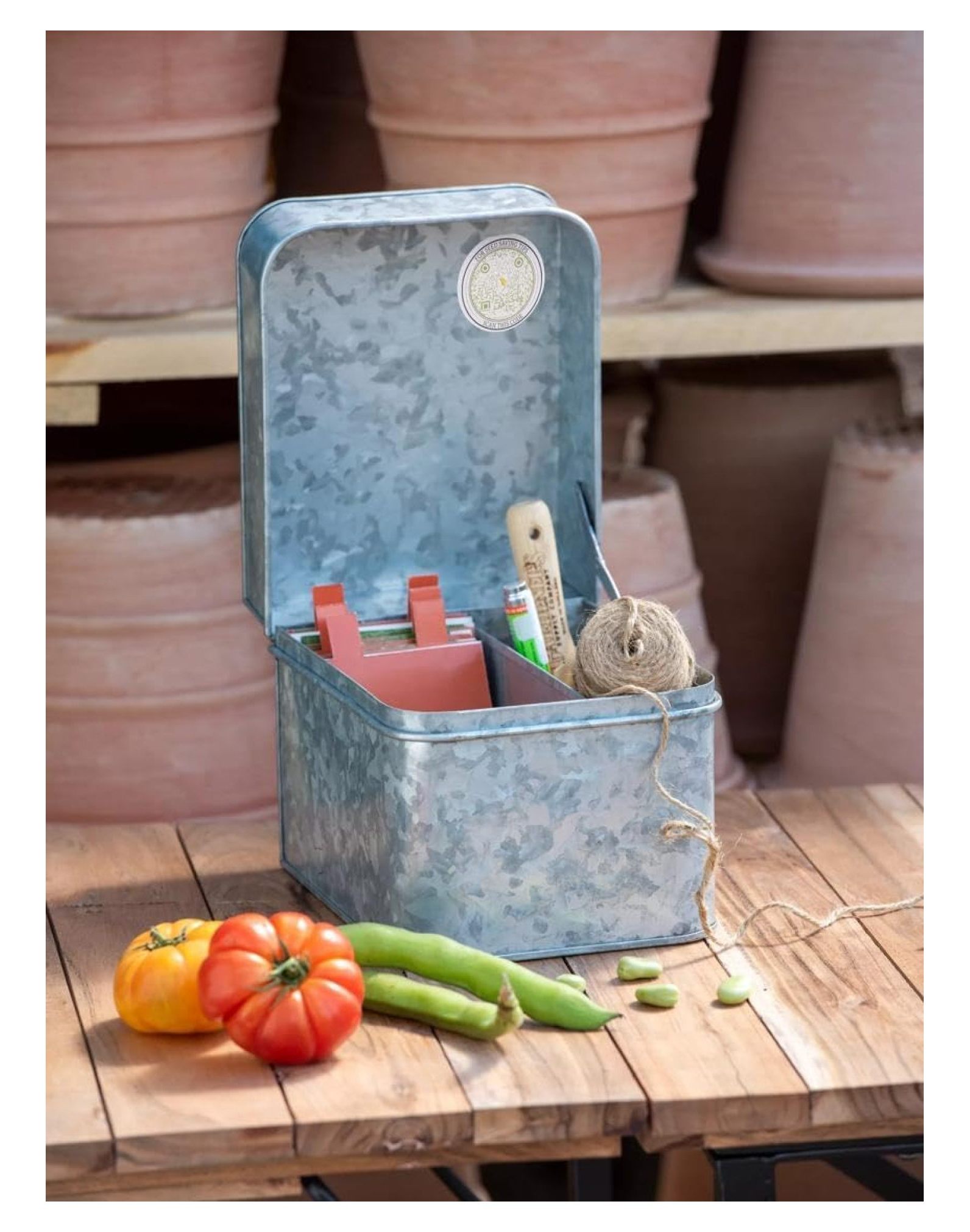 Galvanized Seed Saver Kit 8" L x 61/2" W x 63/4" H Steel Box Keeps