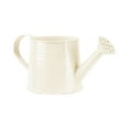 thumbnail image 1 of Galvanized Shower Bucket Tinplate Watering Kettle for Small Flower Pots and, 1 of 4