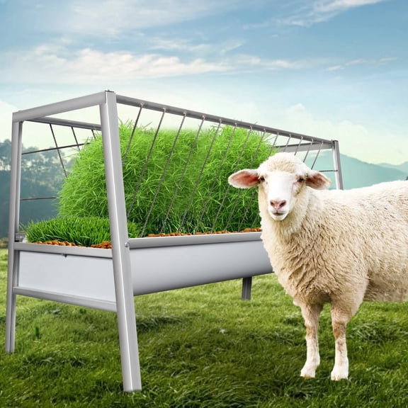 Galvanized Steel Ranch Feeder Sink, 77 Gal Two-Level Capacity, Goat Feed Trough, Outdoor Pasture Feeder, Durable 33.4" Height, for Outdoor Pasture, Goat, Sheep