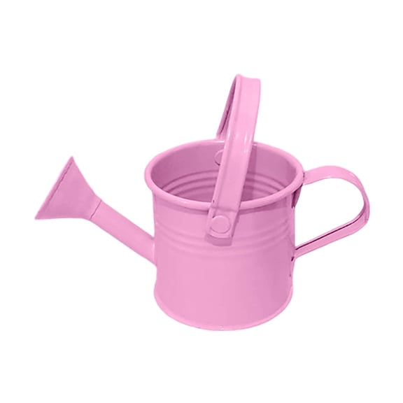 Galvanized Tinplate Watering Can & Flower Pot - 11" Dual-Use Kettle for Indoor/Outdoor Gardens | 1 Gal Capacity