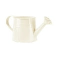 thumbnail image 1 of Galvanized Watering Can Tinplate Shower Kettle for Small Flower Pots Indoor Outdoor Garden Use, 1 of 8