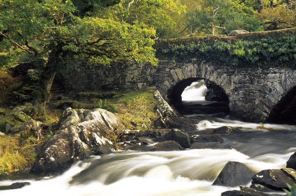 Galways Bridge Killarney National Park County Kerry Ireland Water Flowing Under Bridge Canvas Art - Richard Cummins Design Pics (19 x 12)