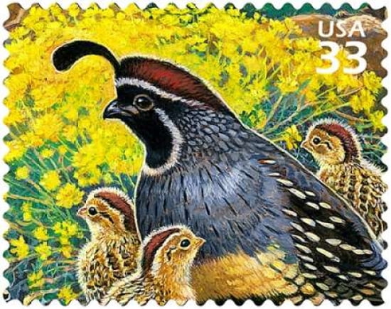 Gamble Quail Canvas Art - US POSTAL SERVICE (24 x 30)