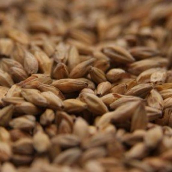 Gambrinus Honey Uncrushed Malt - 5 lb. Bag