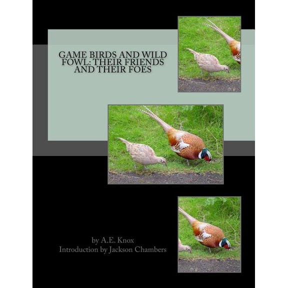 Game Birds and Wild Fowl: Their Friends and Their Foes (Paperback)