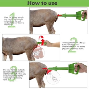 Game Dressing Tool for Deer and Large Animal Field Processing and Cleaning with Ergonomic Handle and Durable Stainless Steel