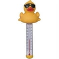 thumbnail image 1 of Game Group Derby Duck Pool and Spa Thermometer, 1 of 5