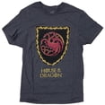 thumbnail image 1 of Game Of Thrones Men's Officially Licensed House Of The Dragon Tee T-Shirt (Small, Charcoal), 1 of 1