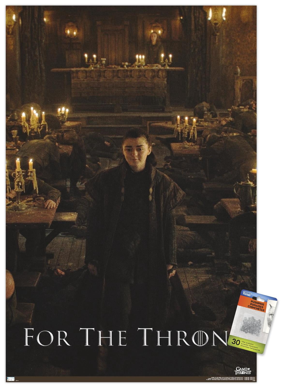 Game of Thrones - Arya Stark Wall Poster with Pushpins, 22.375" x 34"