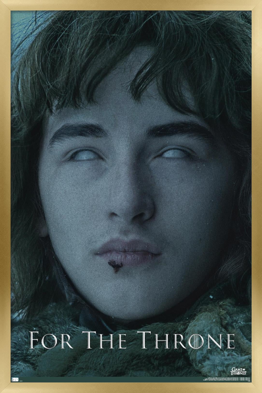 Game of Thrones - Bran Stark Wall Poster, 22.375" x 34", Framed