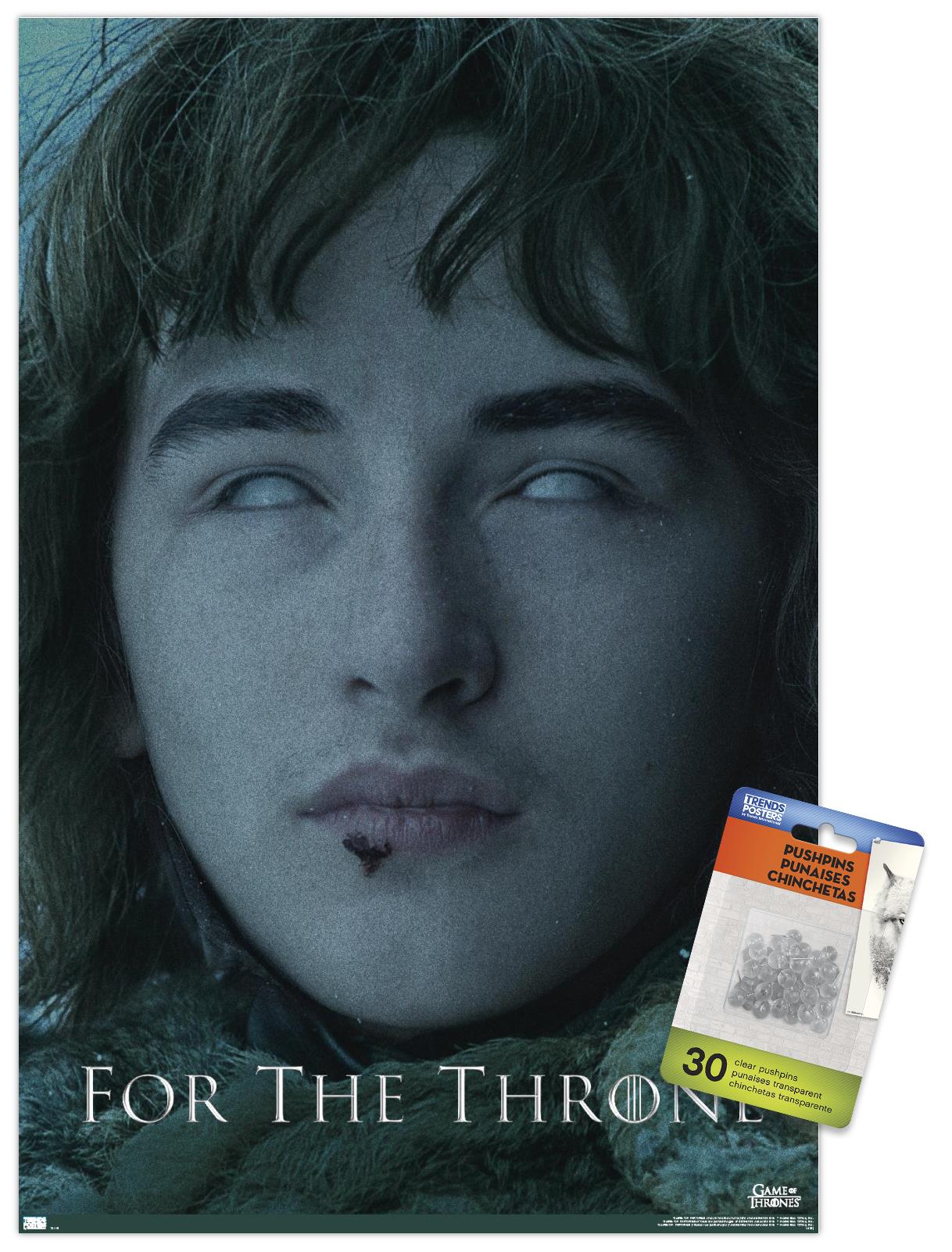 Game of Thrones - Bran Stark Wall Poster with Pushpins, 14.725" x 22.375"