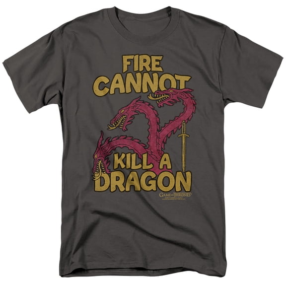 Game of Thrones Dragons with Fire Unisex Adult T-Shirt, Charcoal, Small