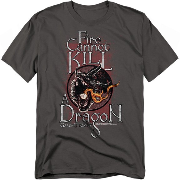 Game of Thrones Fire Cannot Kill A Dragon Unisex Adult T-Shirt, Charcoal, Small