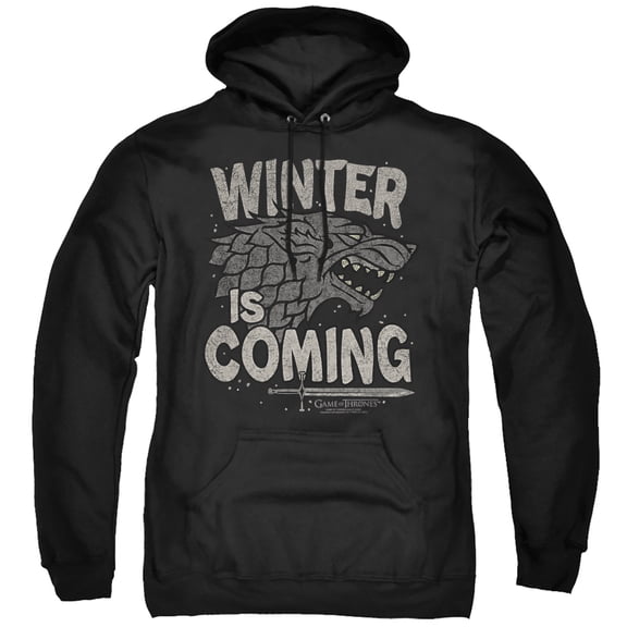 Game of Thrones Winter Is Coming Unisex Adult Pull-Over Hoodie,Black, Large