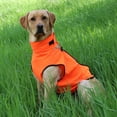 thumbnail image 1 of Gamehide Elimitick Dog Vest Insect Repelling Blaze Orange - XL, 1 of 1