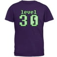 thumbnail image 1 of Gamer Milestone Birthday Level 30 Mens T Shirt Purple LG, 1 of 1