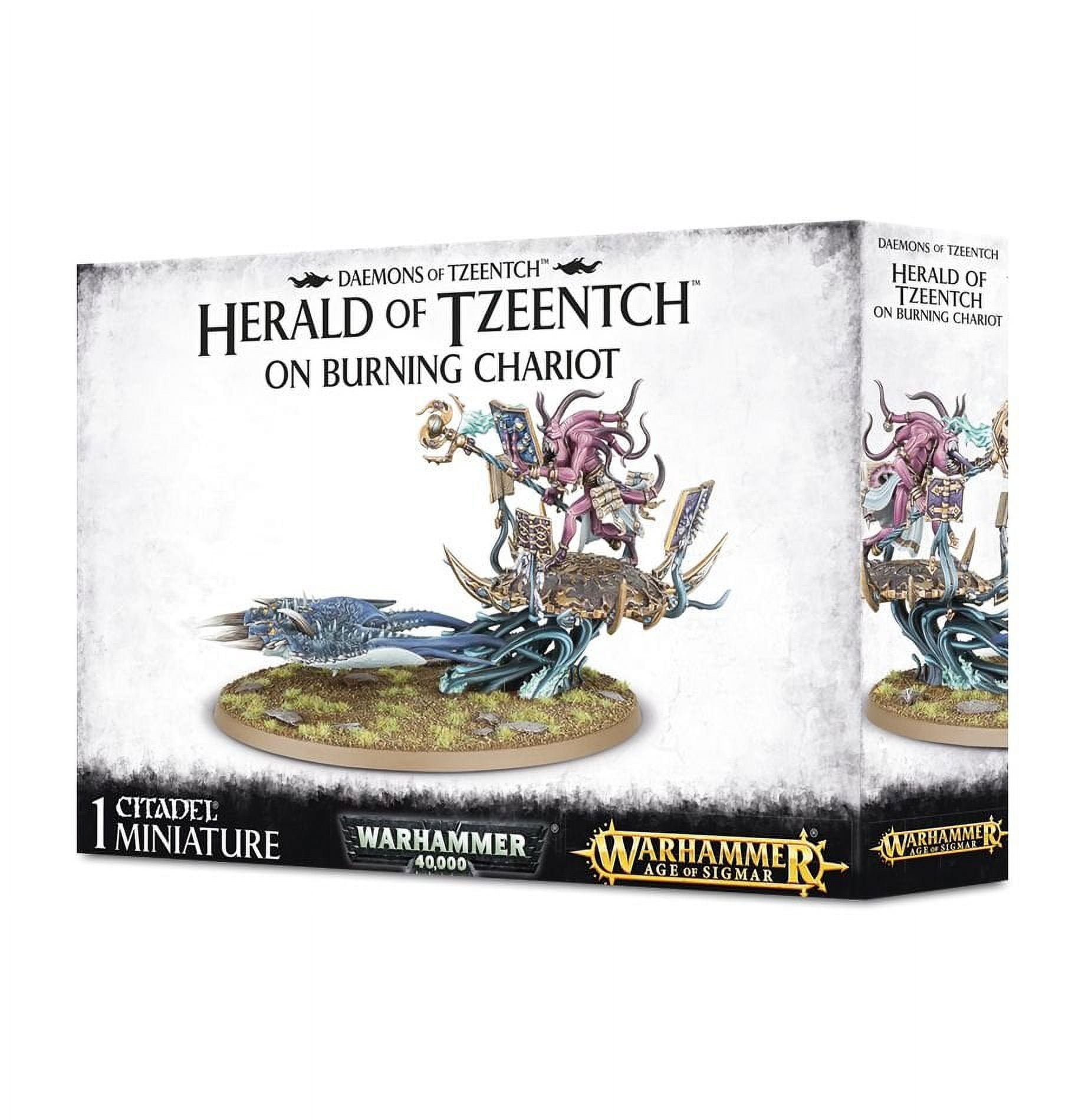 Games Workshop Warhammer 40,000 Age of Sigmar Fateskimmer Herald of Tzeentch on Burning Chariot