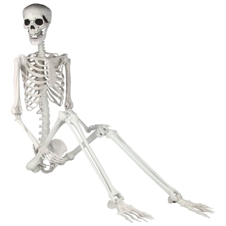 Gamexcel 6ft Full Body Posable Skeleton - Realistic Halloween Decoration with Movable Joints