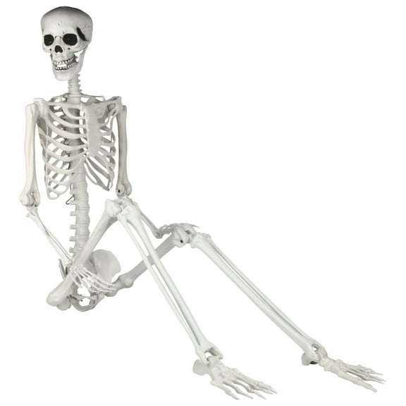 Gamexcel 6ft Full Body Posable Skeleton - Realistic Halloween Decoration with Movable Joints
