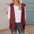 thumbnail image 1 of Gamivast Fleece Vest for Women Lightweight Sherpa Button Down Sleeveless Jacket Loose Casual V Neck Fuzzy Coats with Pockets Fall Fashion Outfits 2025, 1 of 7