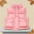 thumbnail image 1 of Gamivast Puffer Vest Girls Quilted Oversized Stand Collar Sleeveless Down Coats with Pockets Warm Winter Zip up Button Down Jackets for Kids Teen 3-13 Years Old, 1 of 6
