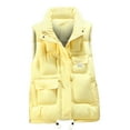 thumbnail image 1 of Gamivast Quilted Vest Women Oversized Stand Collar Sleeveless Padded Jackets Loose Casual Zip up Drawstring Hem Outerwear with Pockets Warm Winter Coats for Women 2025, 1 of 5