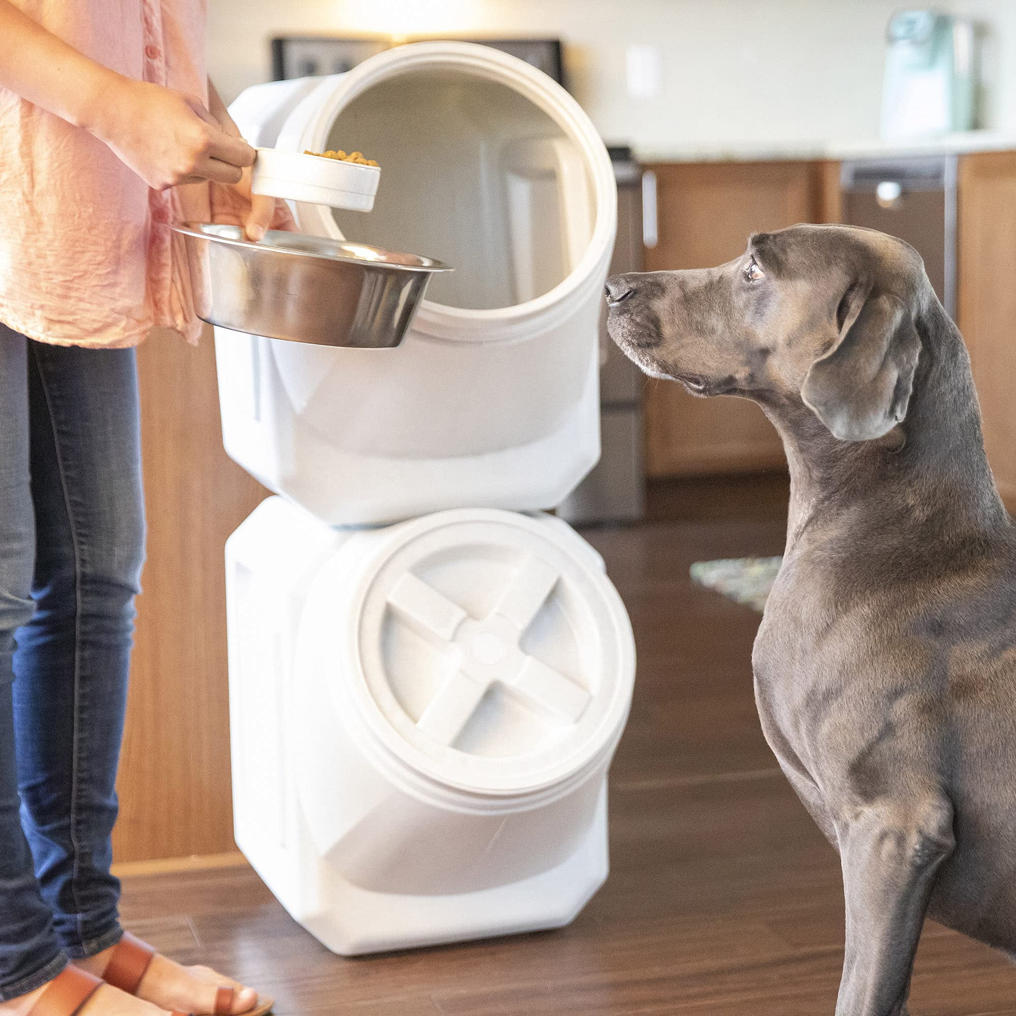 60 pound dog food container 2025