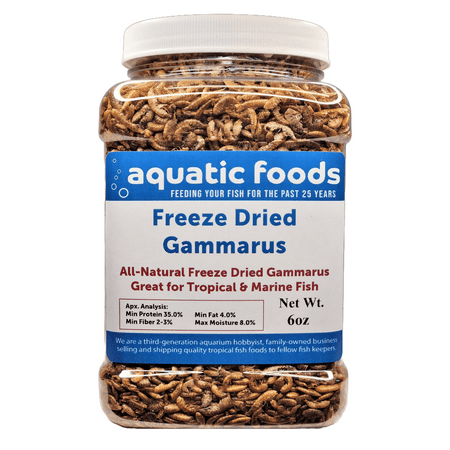 Gammarus Shrimp--Freeze Dried. Great for All Tropical Fish, Marine Fish, Cichlids, Carnivores, Discus, Coldwater Fish, Goldfish, Koi, Turtles Even Birds and Reptiles…6oz Med Jar