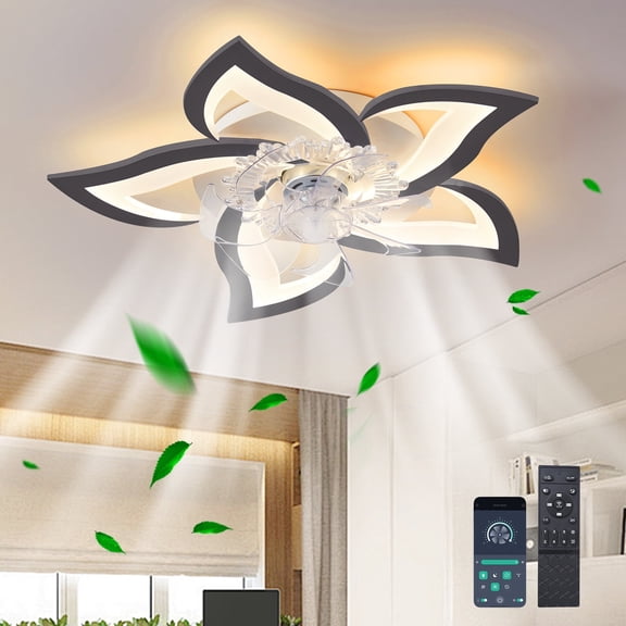 Ganeed Ceiling Fan with Lights & Remote Control, 24.6" Black, 6 Speeds 3 Light Color Reversible Low Profile Flush Mount Ceiling Fan for Kitchen Bedroom Living Room