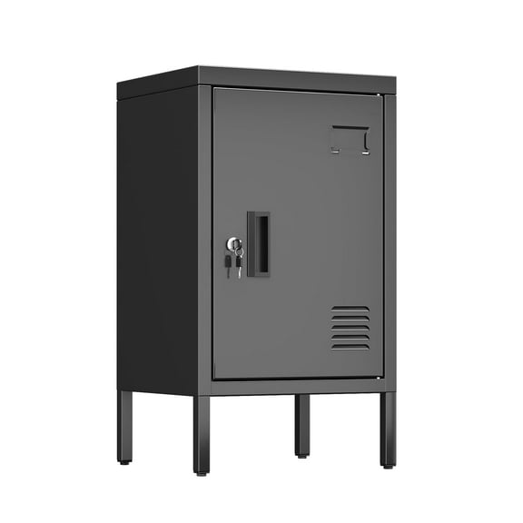 GangMei Metal Storage Locker with Name Card Holder and Shelf, Small Locker Cabinet for Office, School, Gym, Home, Assembly Required,Black