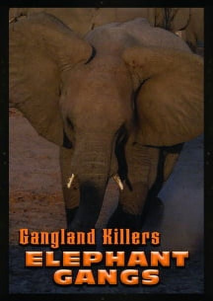 Gangland Killers: Elephant Gangs