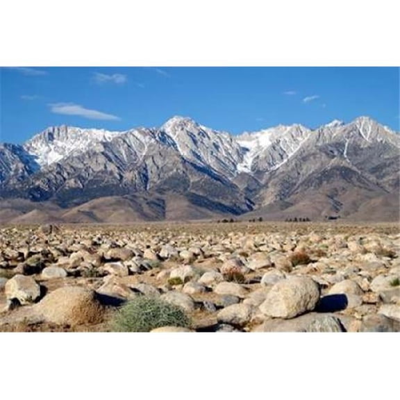 Gango Editions PDXPSTLR231SMALL Sierra Nevada Mountains II Poster Print by Douglas Taylor, 12 x 18 - Small