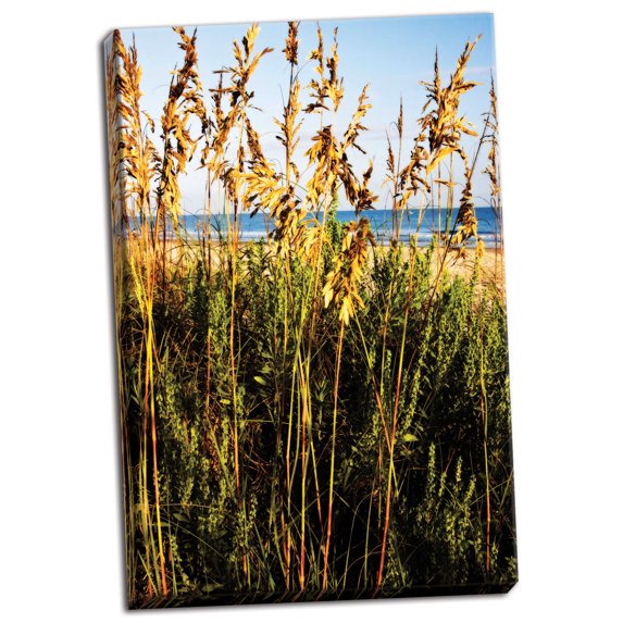 Gango Home Decor A Perfect Day 4 by Alan Hausenflock (Ready to Hang); One 24x36in Hand-Stretched Canvas