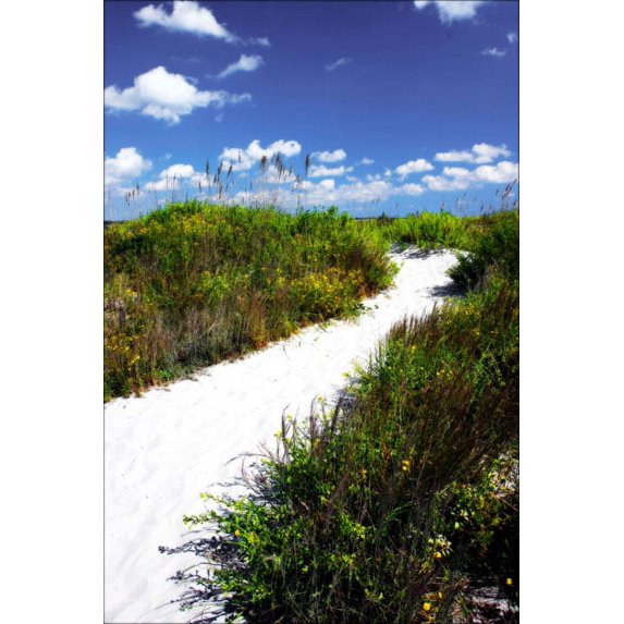 Gango Home Decor A Sandy Pathway II by Alan Hausenflock (Printed on Paper); One 24x36in Fine Art Paper Giclee Print