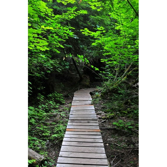 Gango Home Decor Afternoon Hike I by Erin Berzel (Printed on Paper); One 24x36in Fine Art Paper Giclee Print