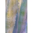 thumbnail image 1 of Gango Home Decor Agave I by Kathy Mahan (Printed on Paper); One 24x36in Fine Art Paper Giclee Print, 1 of 4