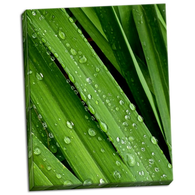 Gango Home Decor April Rain II by Monika Burkhart (Ready to Hang); One 22x28in Hand-Stretched Canvas