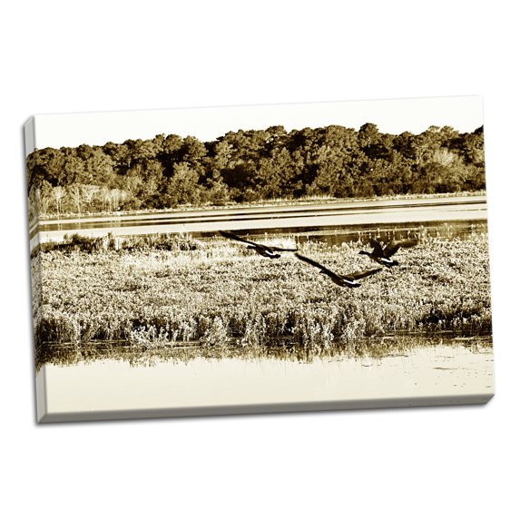 Gango Home Decor Assateague Island 3 by Alan Hausenflock (Ready to Hang); One 36x24in Hand-Stretched Canvas