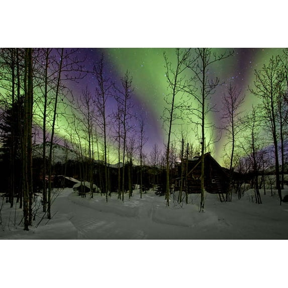 Gango Home Decor Aurora Borealis XII by Larry Malvin (Printed on Paper); One 36x24in Fine Art Paper Giclee Print