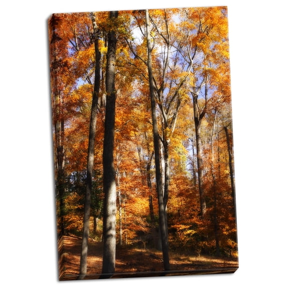Gango Home Decor Autumn Cathedral I by Alan Hausenflock (Ready to Hang); One 24x36in Hand-Stretched Canvas