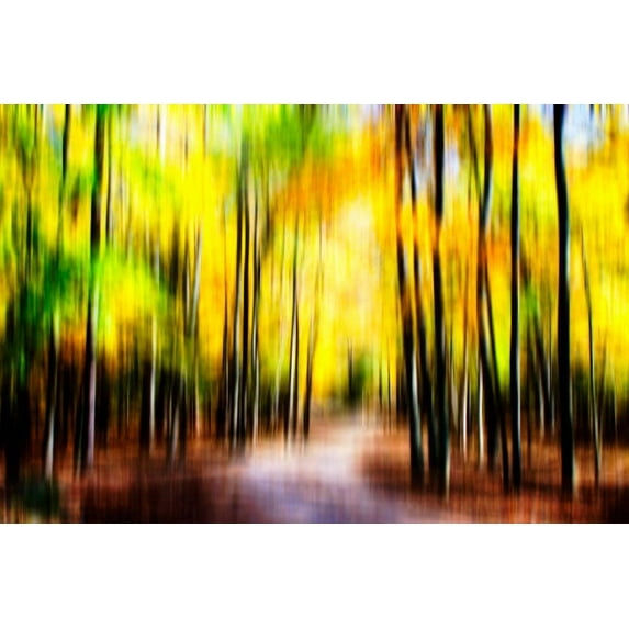 Gango Home Decor Autumn Impressions IV by Alan Hausenflock (Printed on Paper); One 36x24in Fine Art Paper Giclee Print